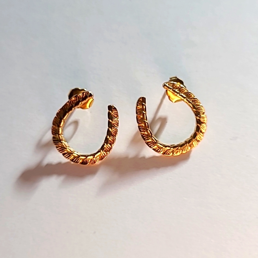 Horseshoe earrings